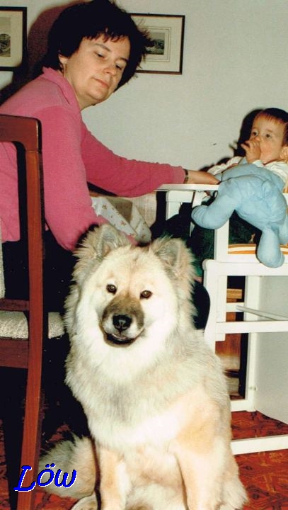 Feb. 1989 -  Babysitter